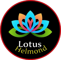 Lotus helmond